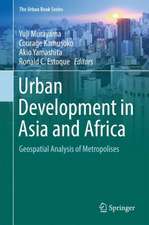 Urban Development in Asia and Africa: Geospatial Analysis of Metropolises