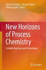 New Horizons of Process Chemistry