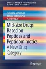 Mid-size Drugs Based on Peptides and Peptidomimetics: A New Drug Category