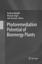 Phytoremediation Potential of Bioenergy Plants