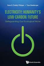 Electricity: Humanity's Low-Carbon Future - Safeguarding Our Ecological Niche