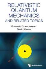 Relativistic Quantum Mechanics and Related Topics