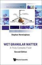 WET GRANULAR MATTER (2ND ED)