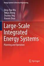 Large-Scale Integrated Energy Systems