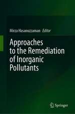 Approaches to the Remediation of Inorganic Pollutants