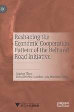 Reshaping the Economic Cooperation Pattern of the Belt and Road Initiative