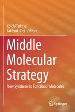 Middle Molecular Strategy: Flow Synthesis to Functional Molecules