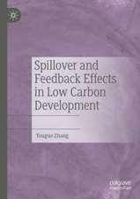 Spillover and Feedback Effects in Low Carbon Development