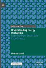 Understanding Energy Innovation: Learning from Smart Grid Experiments