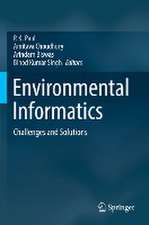 Environmental Informatics: Challenges and Solutions