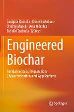 Engineered Biochar: Fundamentals, Preparation, Characterization and Applications