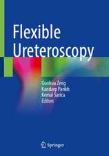 Flexible Ureteroscopy