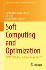 Soft Computing and Optimization