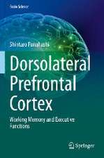 Dorsolateral Prefrontal Cortex: Working Memory and Executive Functions