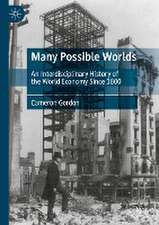 Many Possible Worlds: An Interdisciplinary History of the World Economy Since 1800