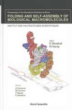 Folding and Self-Assembly of Biological Macromolecules - Proceedings of the Deuxiemes Entretiens de Bures