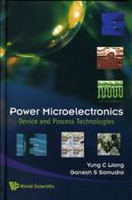 Power Microelectronics