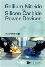 Gallium Nitride & Silicon Carbide Power Devices: Selected Works of Ludwig Faddeev