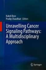 Unravelling Cancer Signaling Pathways: A Multidisciplinary Approach