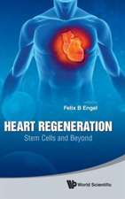 Heart Regeneration