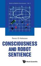 Consciousness and Robot Sentience