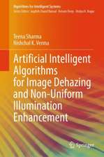 Artificial Intelligent Algorithms for Image Dehazing and Non-Uniform Illumination Enhancement