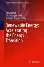 Renewable Energy: Accelerating the Energy Transition