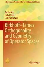 Birkhoff–James Orthogonality and Geometry of Operator Spaces