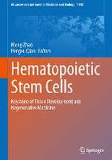 Hematopoietic Stem Cells