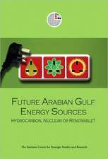 Future Arabian Gulf Energy Sources: Hydrocarbon, Nuclear or Renewable?