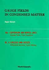 Gauge Fields in Condensed Matter (in 2 Volumes)