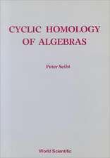 Cyclic Homology of Algebras