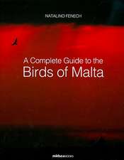 A Complete Guide to the Birds of Malta