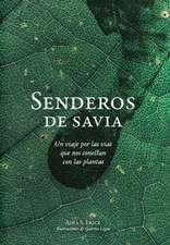 Senderos de savia: Un viaje por las vías que nos conectan con las plantas