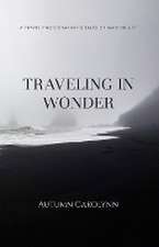 Traveling in Wonder