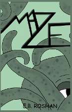 Roshan, E: Maze