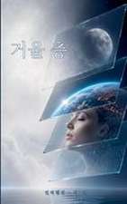 거울 층
