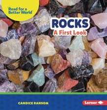 Rocks