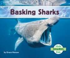 Basking Sharks
