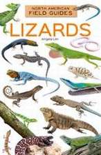 Lizards