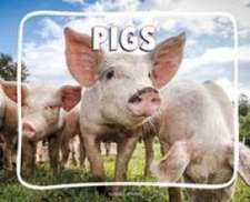 Pigs