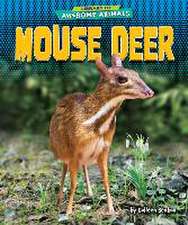 Mouse Deer