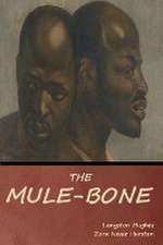 The Mule-Bone