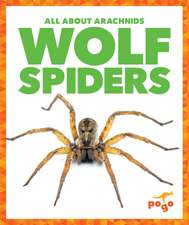 Wolf Spiders