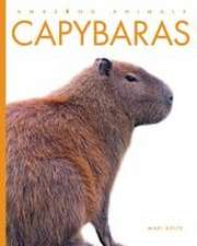 Capybaras