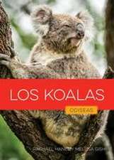 Los Koalas