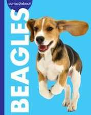 Curious about Beagles