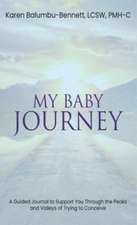 My Baby Journey