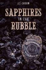 Sapphires in the Rubble - A Collection of Vignettes