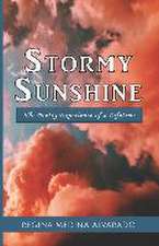 Stormy Sunshine: The Poetry Experience of a Lifetime